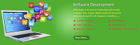 Custom Software Development