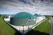 Commercial Biogas Plant