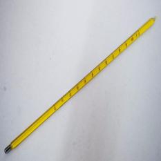 Thermometer Mercury