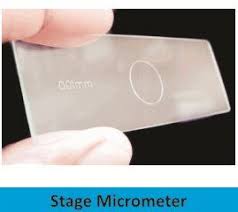 Stage Micrometer