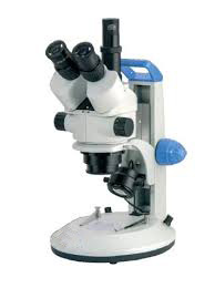 Zoom Stereoscopic Binocular Microscope