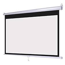 Projector Screen Palmet Type