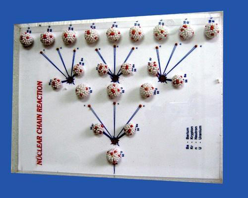 Nuclear Chain Reaction Model