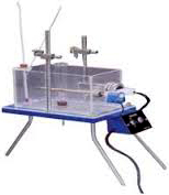 STUDENT ORGAN BATH 