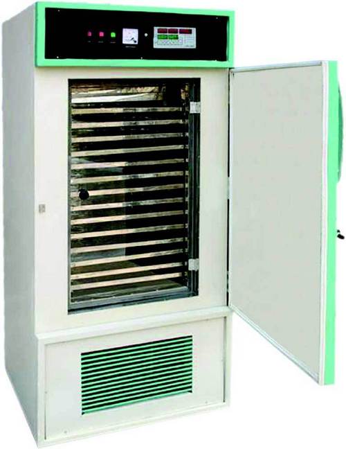 SEED GERMINATOR