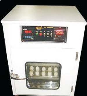 EGG.INCUBATOR 