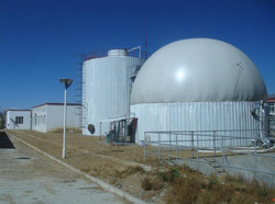  biogas storage balloon