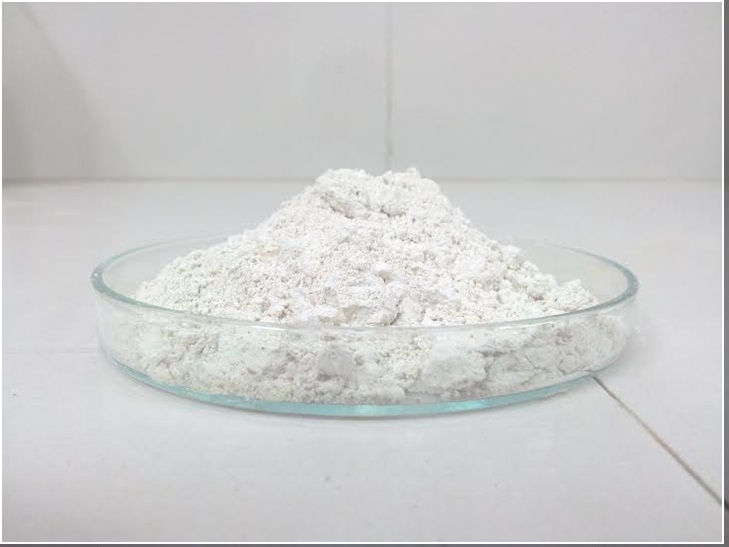 Diatomaceous Earth