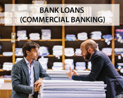 BANK LOANS (BUSINESS BANKING)