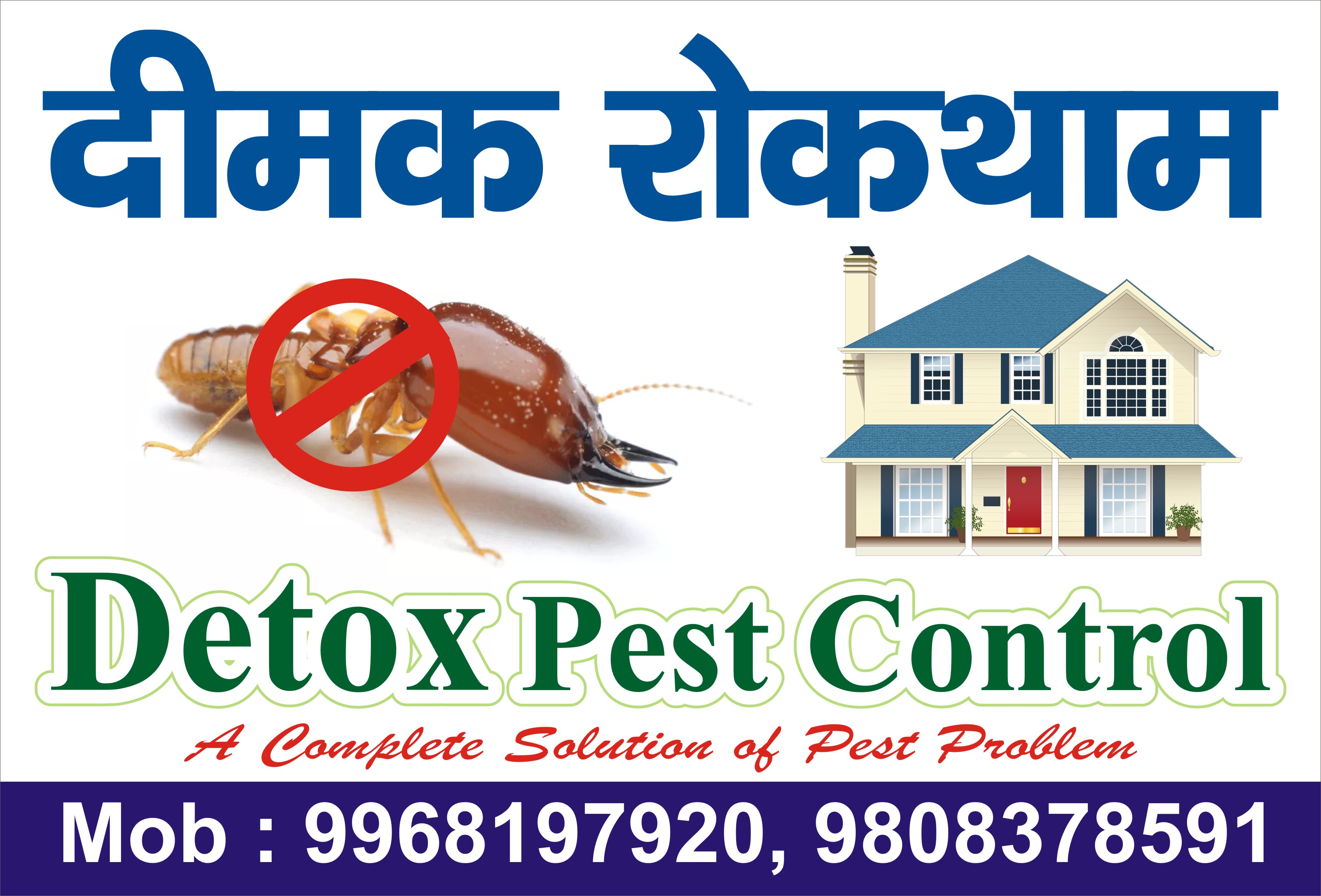 ANTI TERMITE TREATMENT
