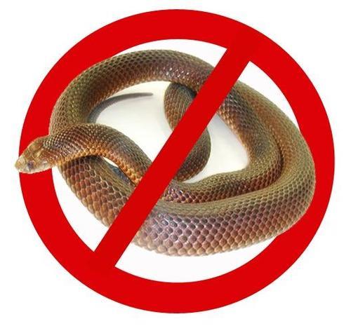 Snake Repellent Service 