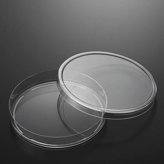 Petri Dish 