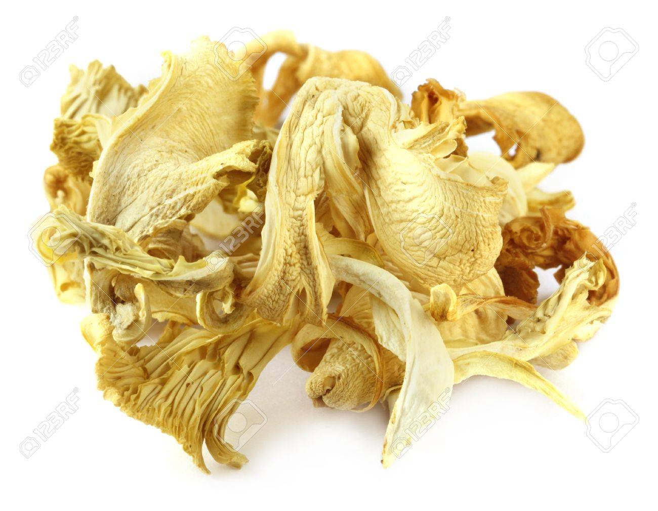 Dry Oyster Mushroom