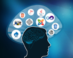 Website Development