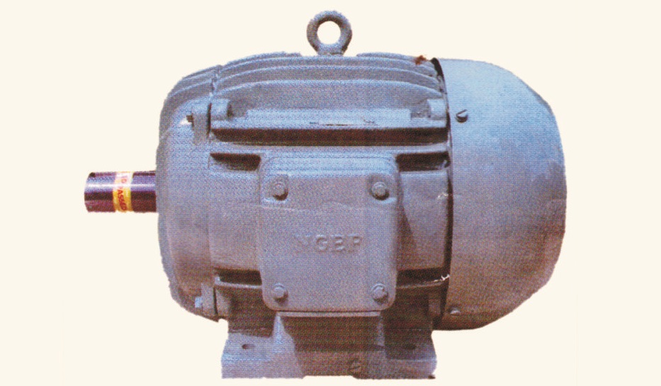 3 PHASE INDUCTION MOTORS