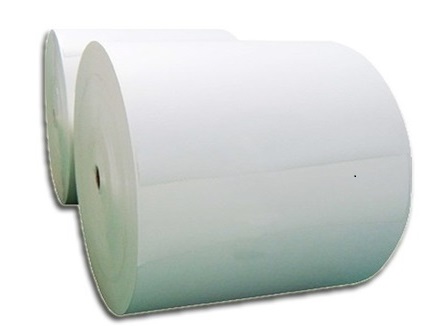 Poly Coated paper