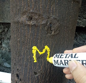 Tree Marker Pen
