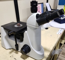 Metallurgical Microscope Model:- Classic