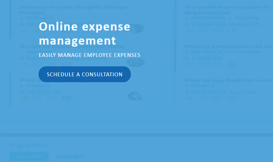 Online Expense Management