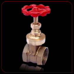 Qinn Bronze Gate Valve ISI Marked 65 MM