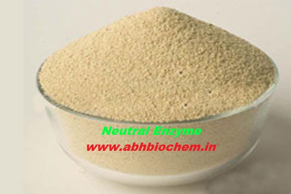Neutral  Enzyme