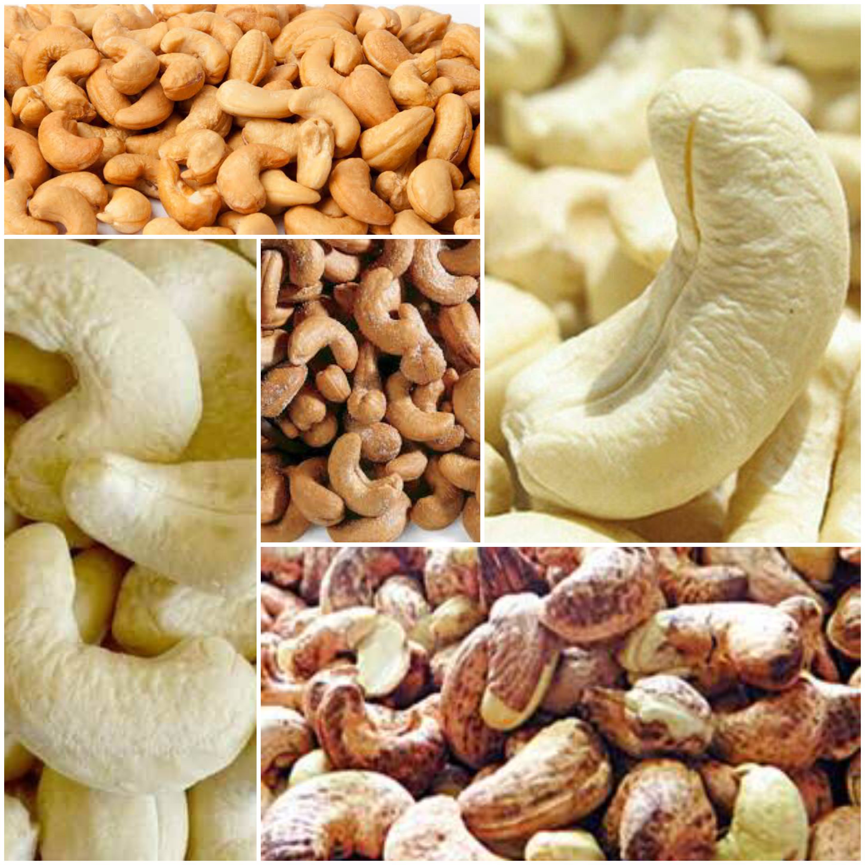 CASHEW NUT PLAIN W 320