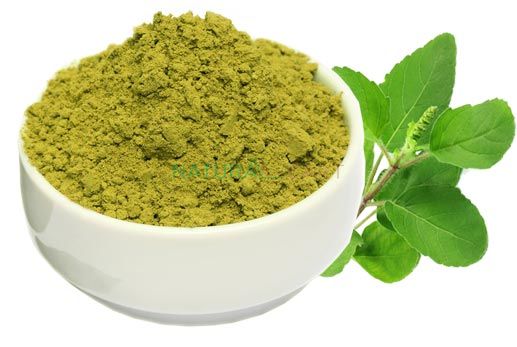 TULSI LEAF POWDER