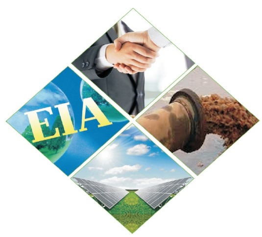 EIA Consultant