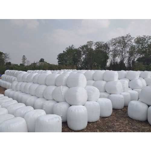 corn silage