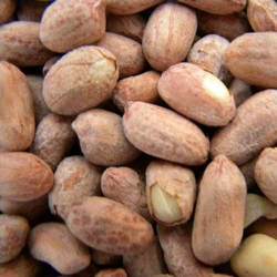 Rosted peanut