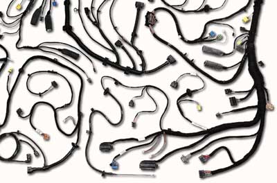  Wire Harness