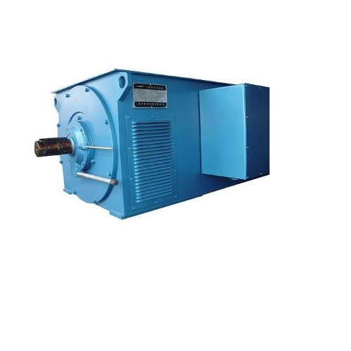 WOLONG HT MOTOR