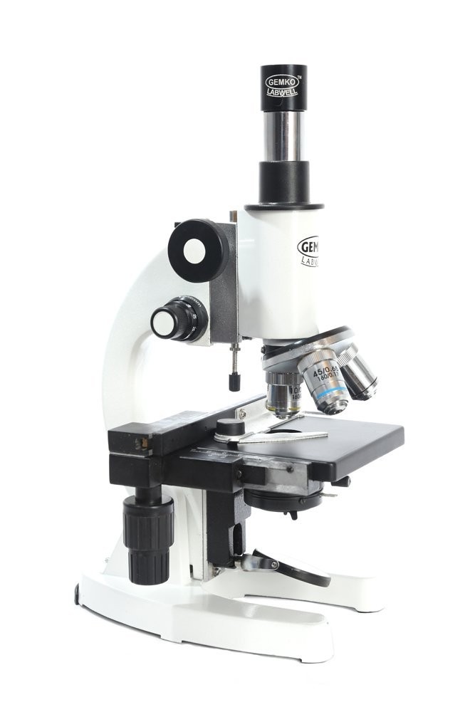 lab student  microscope 