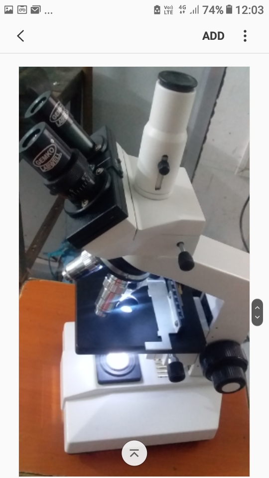 microscope