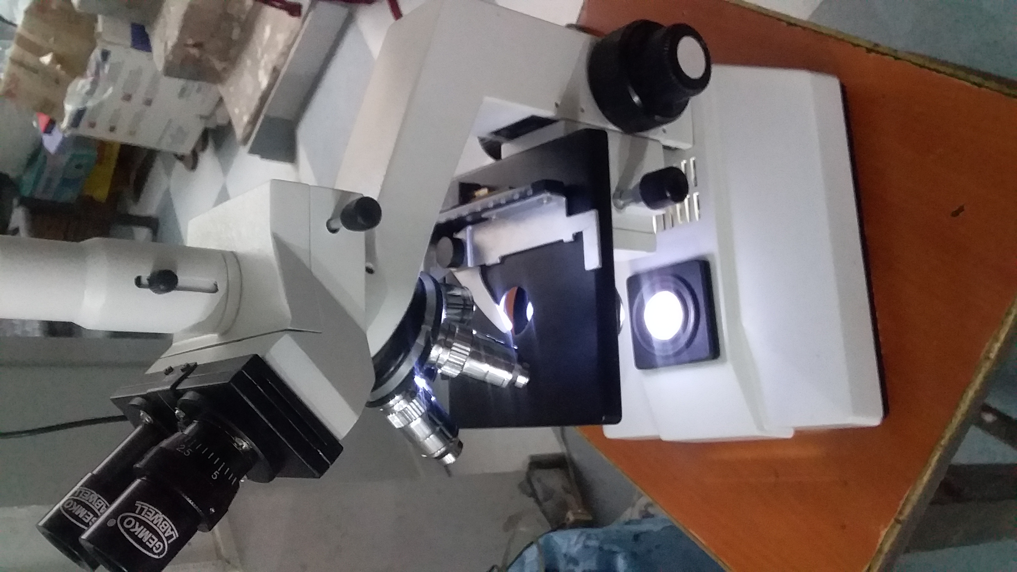 Compound type microscope