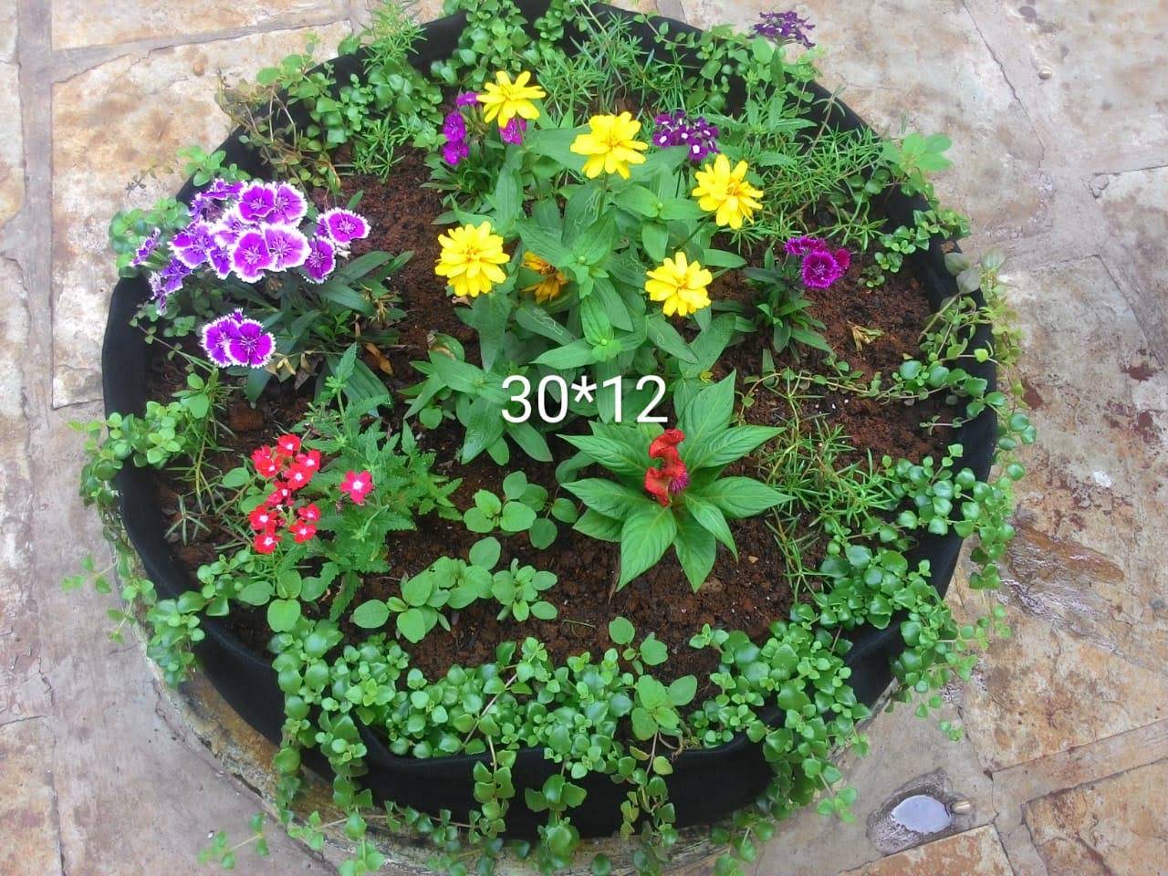 Rectangle Felt Black Grow Bags For Agriculture, S