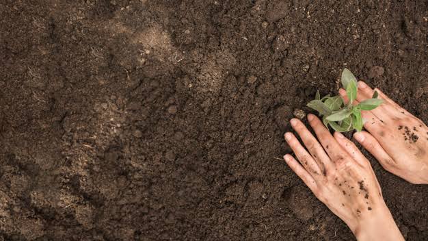 Sustainable Organic Vegetables Production Consultancy on online