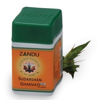 Sudarshan Ghanvati