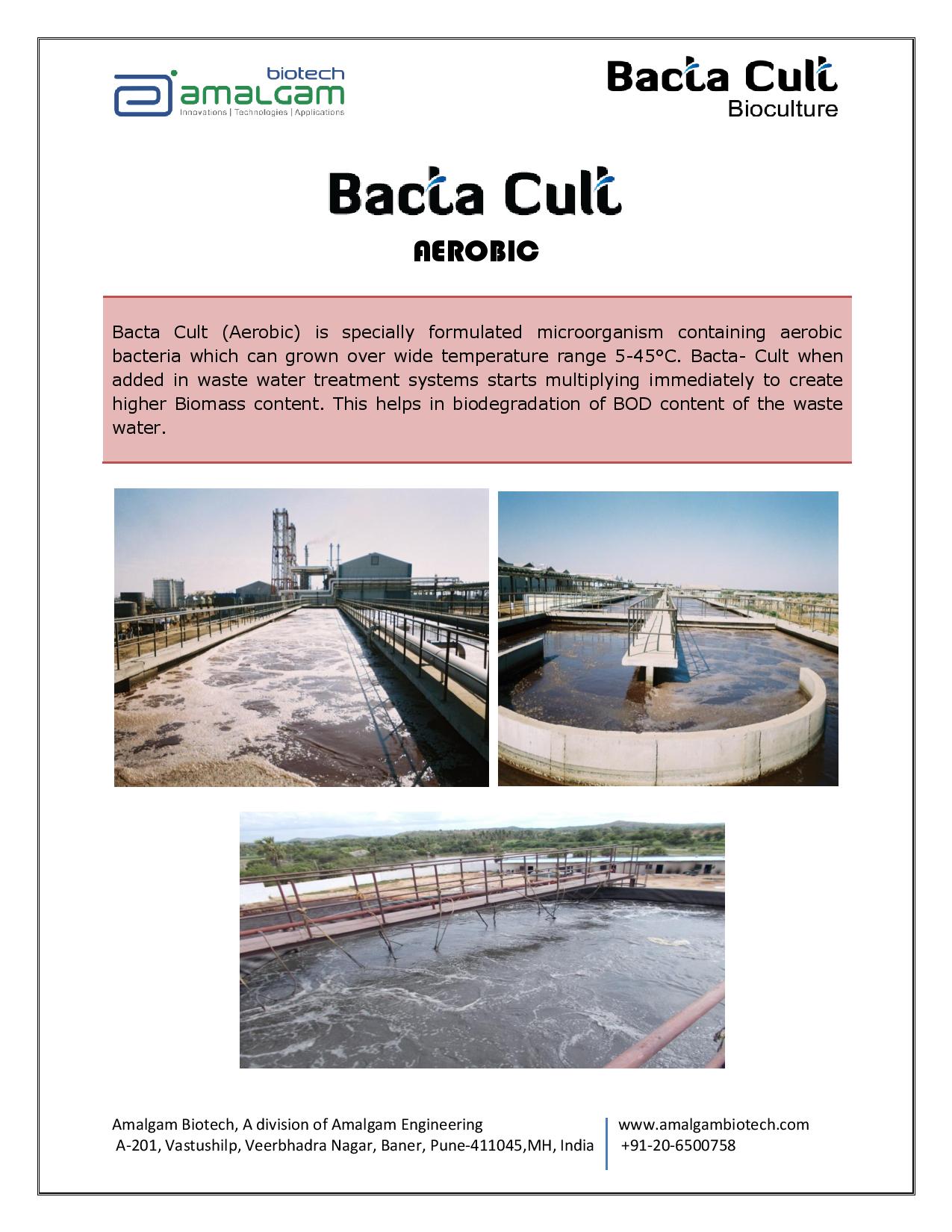BACTA CULT Aerobic