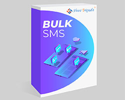 Bulk Sms Service
