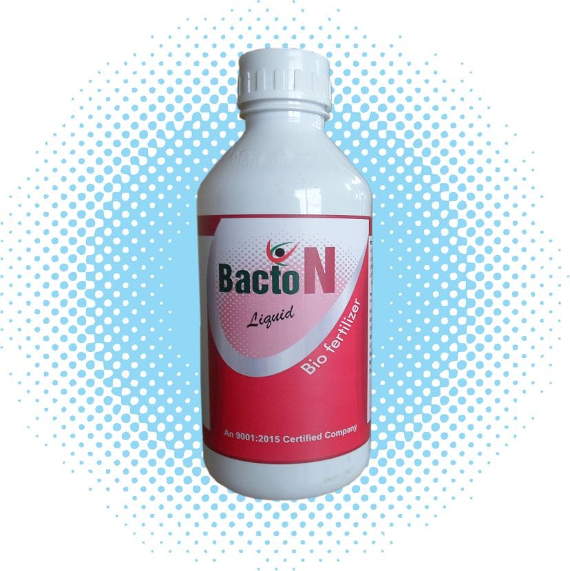 BACTON