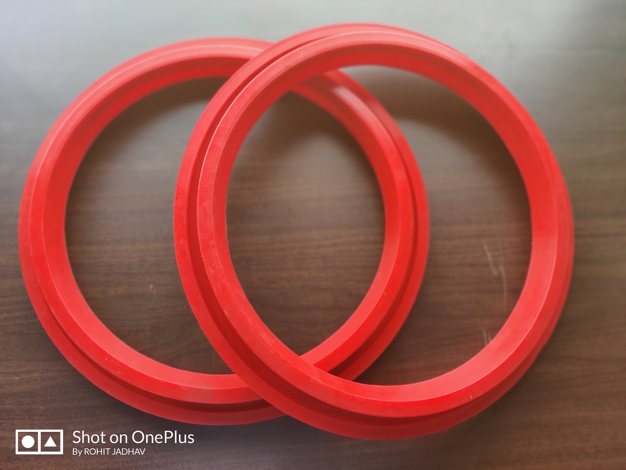 Dome Valve Seal