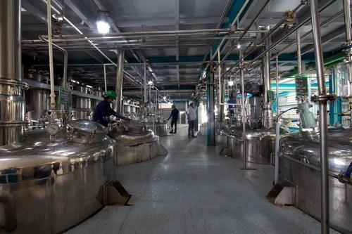 Herbal Extraction Plant