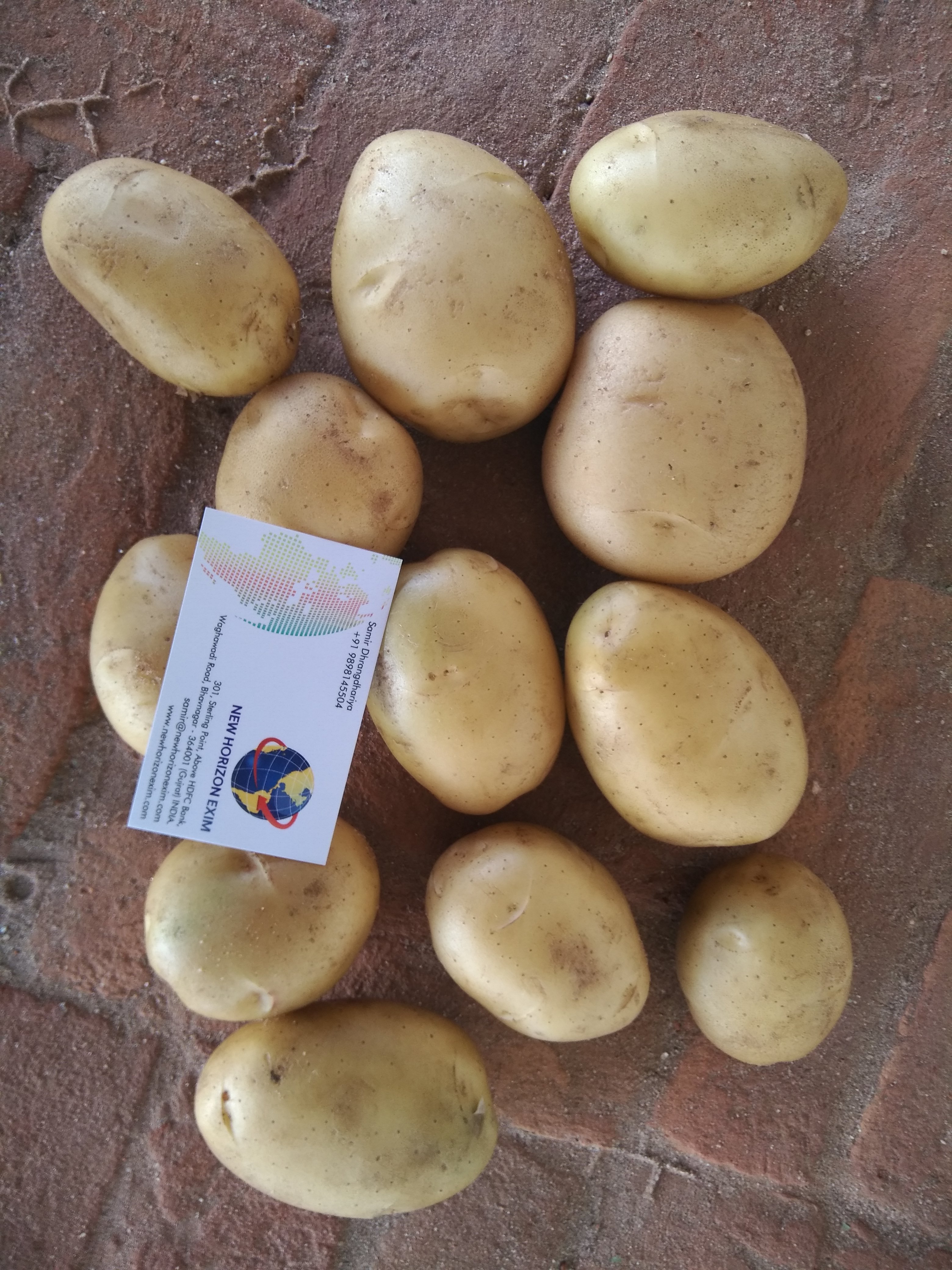 FRESH POTATO