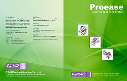 Proease Protease Enzyme
