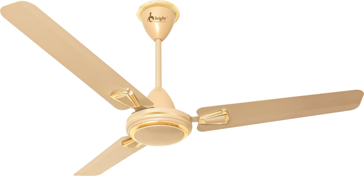 DECORATIVE CEILING FAN