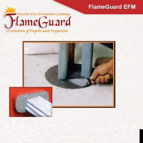 FlameGuard EFM