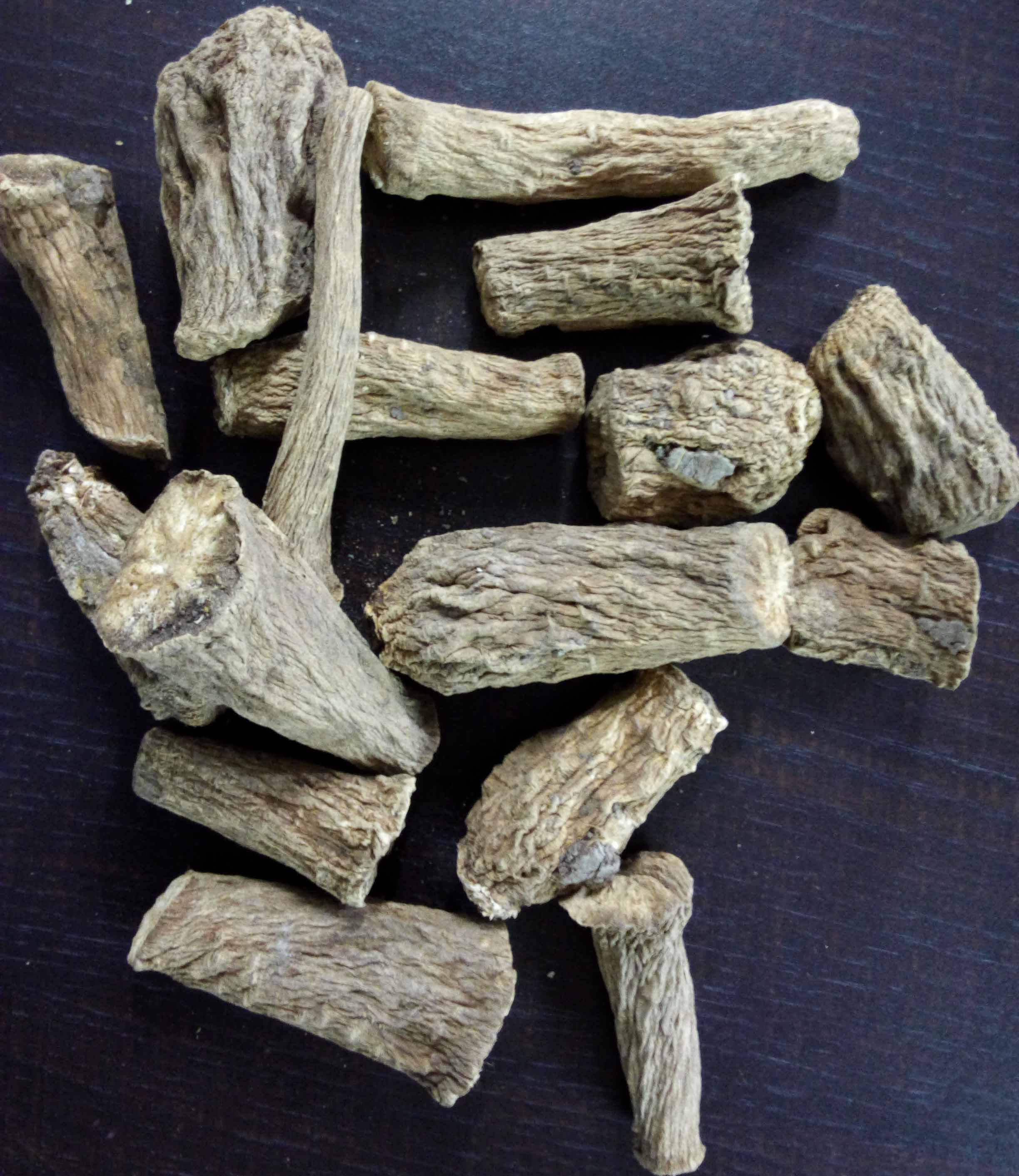 Chicory root cube