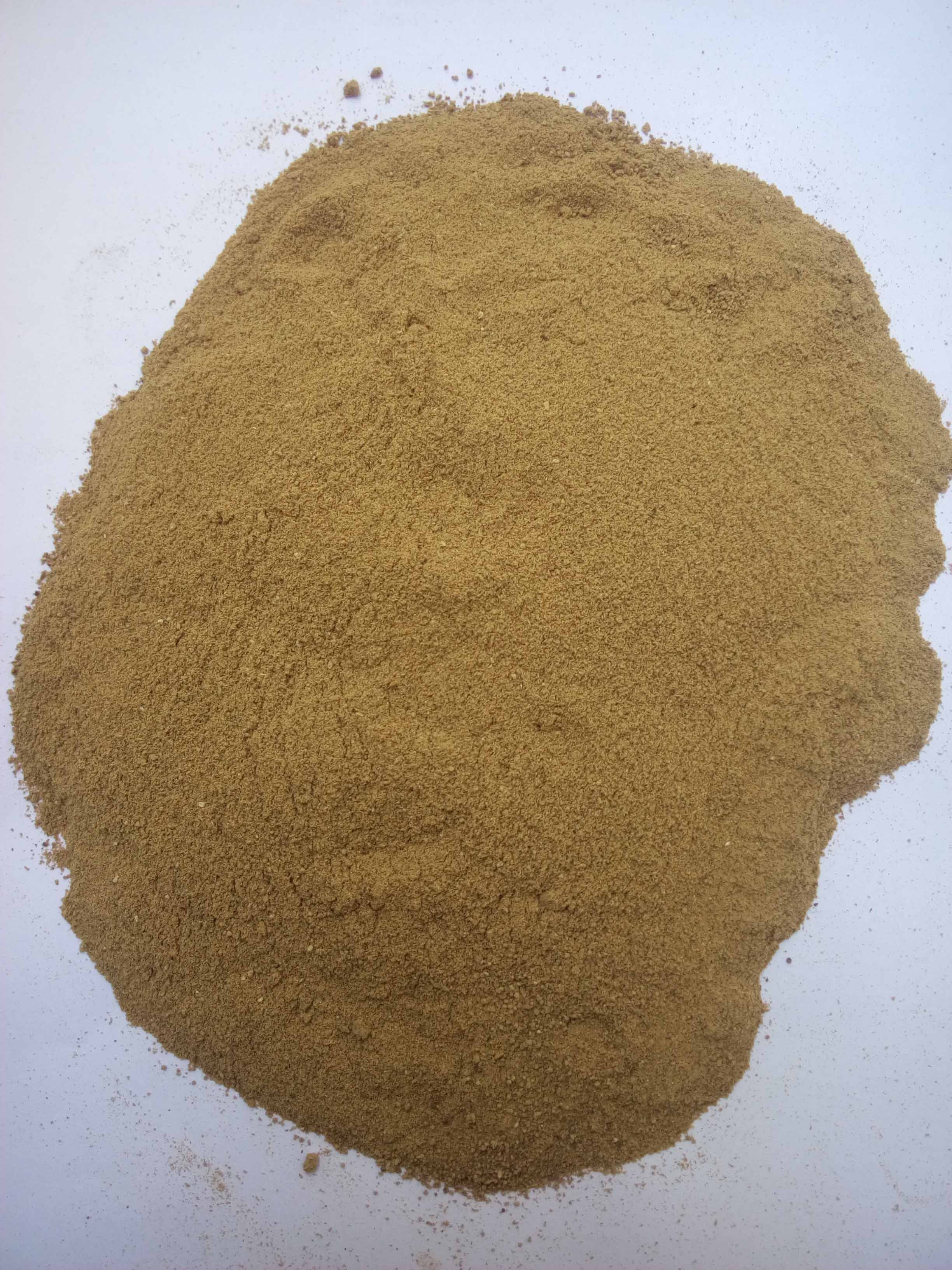 Chicory powder