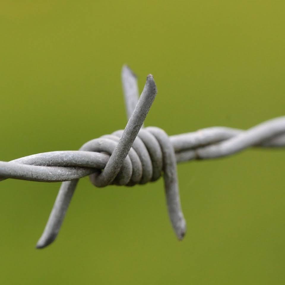BARBED WIRE